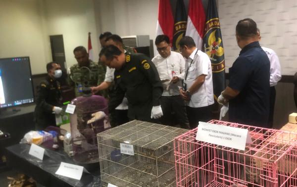 Kera Disembunyikan di Kardus Bekas, Enam Satwa Lain Terjaring X-Ray di Bandara Juanda