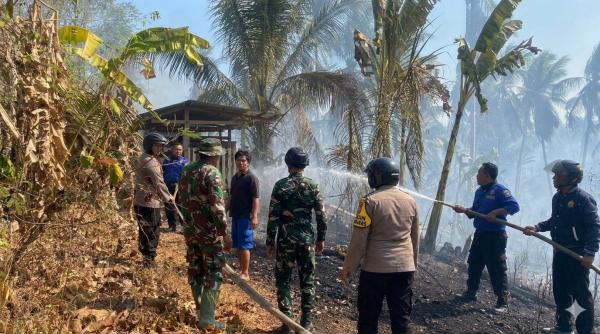 Dua Titik Karhutla Terjadi Bersamaan di Polman, Polisi dan Tim Gabungan Dikerahkan