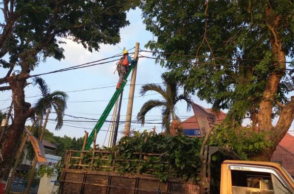 Info Pemadaman Aliran Listrik oleh PLN ULP Purwodadi Pada Selasa 15 September 2026, Ini Lokasinya