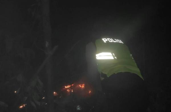 Kebakaran Hutan Pinus di Sadang Kebumen Meluas 2,5 Hektare, Api Berhasil Dipadamkan