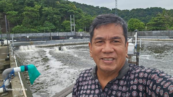 Pemerintah Diharapkan Ambil Peran Optimalisasi Udang Lokal Sebagai Instrumen Ekonomi Indonesia