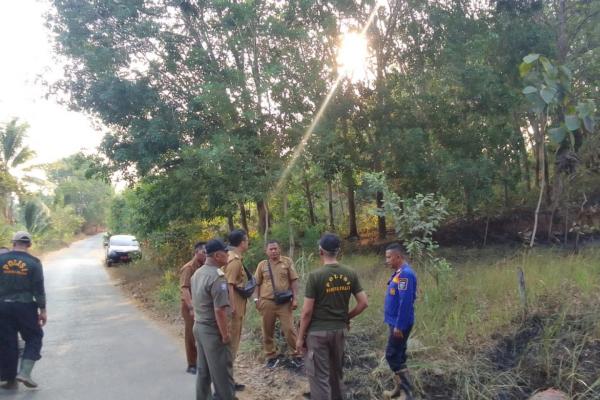 Karhutla Jati Renggo Pringsewu, Medan Terjal dan Angin Kencang Jadi Kendala
