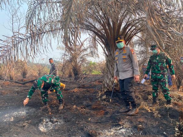 Karhutla,  1.967 Warga Siak Terserang Penyakit Pernapasan