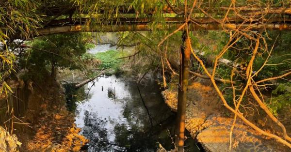 Sungai Cimanceuri Tangerang Menghitam dan Berbau, DLHK Telusuri Dugaan Pencemaran