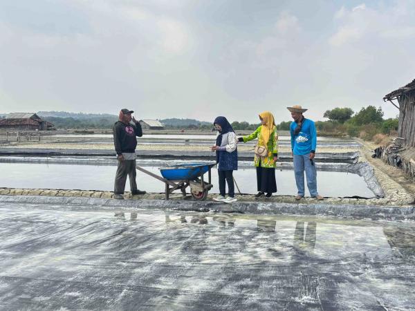 Lima Desa Jadi Sentra Garam Lamongan, 293 Petambak Bidik Produksi 20.000 Ton