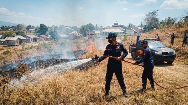 BPBD TTU Siaga Karhutla, Sejumlah Titik Kebakaran di Kefamenanu Berhasil Dipadamkan