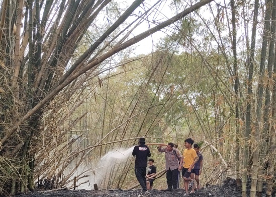Warga Depok Grobogan Panik, Kebakaran Lahan Rumpun Bambu Nyaris Merembet ke Permukiman