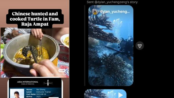 Polisi Selidiki Perburuan Penyu Sisik oleh WNA Cina di Raja Ampat Yang Viral di Media Sosial