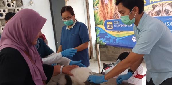 Cegah Penyebaran Rabies, Puluhan Hewan Peliharaan di Purwakarta Divaksin Gratis