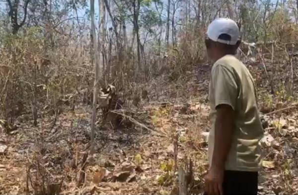 Tragis! Lansia di Ponorogo Tewas Terjebak Api Hutan Jati yang Terbakar