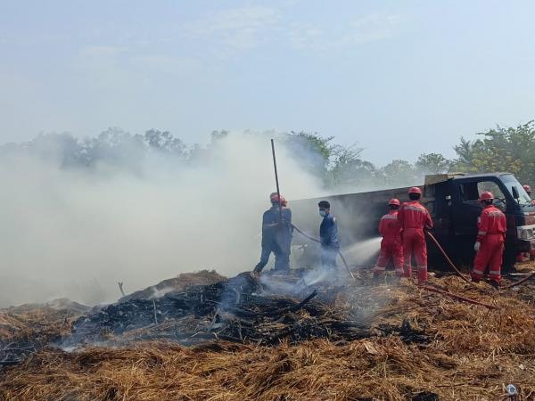 Dump Truck Terbakar, Api Sempat Menjalar di Area Lahan Warga