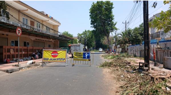 LSM Soroti Penebangan Pohon Besar di Purwodadi, PUPR: Sudah Membahayakan dan Janji Tanam  Pengganti