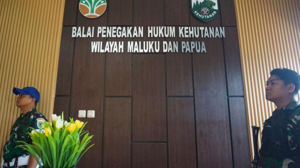 Dikawal Personel TNI Bersenjata Lengkap, Kejati Papua Barat Geledah Balai Gakkum KLHK Maluku - Papua