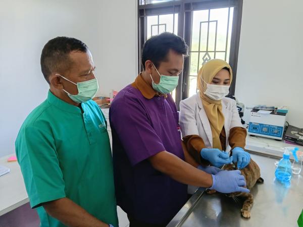 Jelang World Day Rabies, Dispernakan KBB Gelar Vaksinasi dan Steril Kucing Subsidi