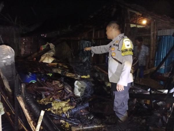 Kandang Kambing dan Tempat Penyimpanan Jerami di Grobogan Terbakar, Polisi Ungkap Penyebabnya