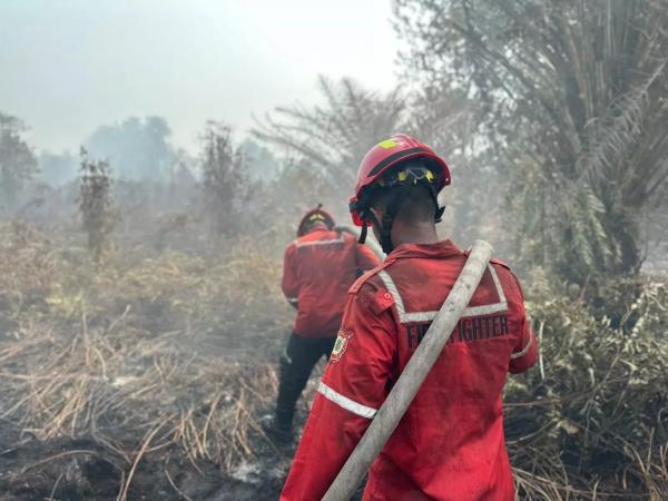 Karhutla, 1.979 Titik Panas Terdeteksi di Sumatera
