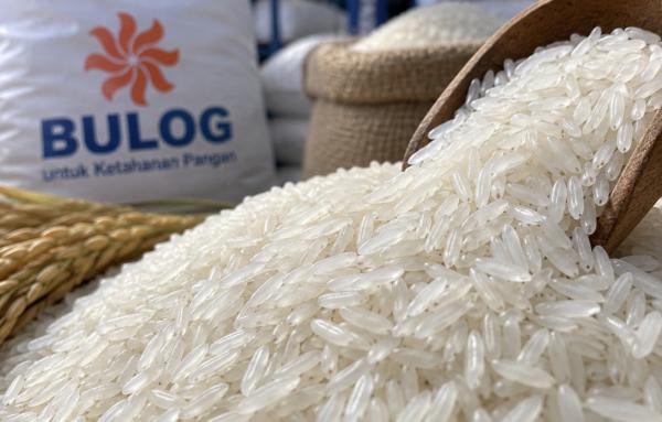 Harga Beras Premium Tembus Rp16.500 per Kg, Bulog Malang Gelontorkan 500 Ton