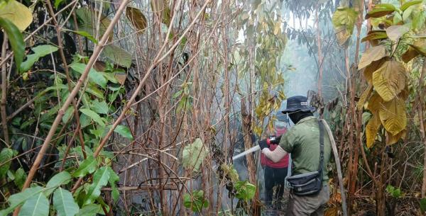 Karhutla di Hutan Harapan Jambi - Sumsel Capai 1.040 Hektare, PT REKI Perkuat Sistem Pencegahan