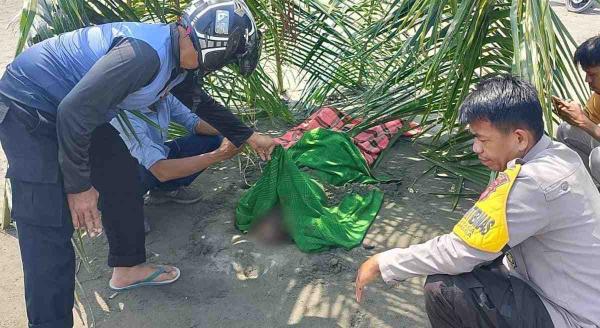 Geger! Mayat Pria Tanpa Identitas Ditemukan di Pantai Dato Sampaga