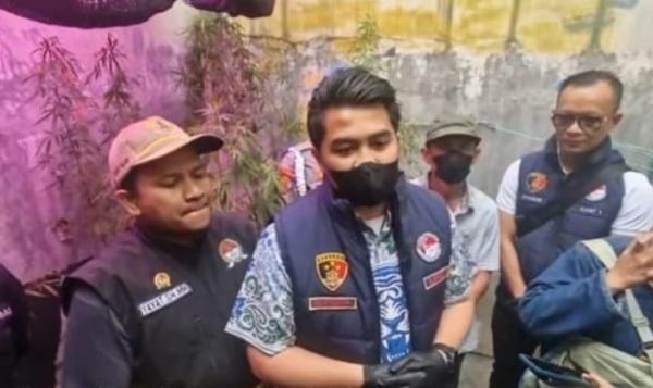 Oknum PPPK Kementerian PU di Bandung Ditangkap Polisi Gegara Nekat Tanam 50 Pohon Ganja