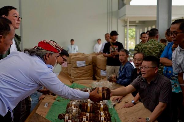 Tembakau Temanggung Diklaim Makin Bagus, Pabrikan Diminta Tambah Serapan