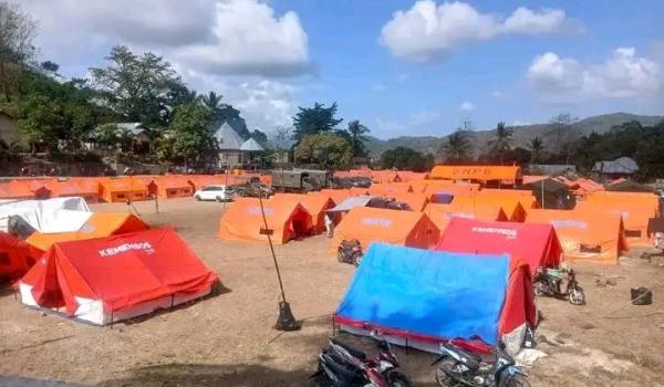 BNPB Ungkap Fakta di Balik 94 Warga NTT yang Meninggal di Pengungsian Pascagempa