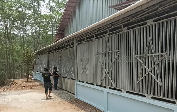 Polda Jateng Cek Arena Sabung Ayam di Batang, Ternyata Tak Temukan Aktivitas Perjudian