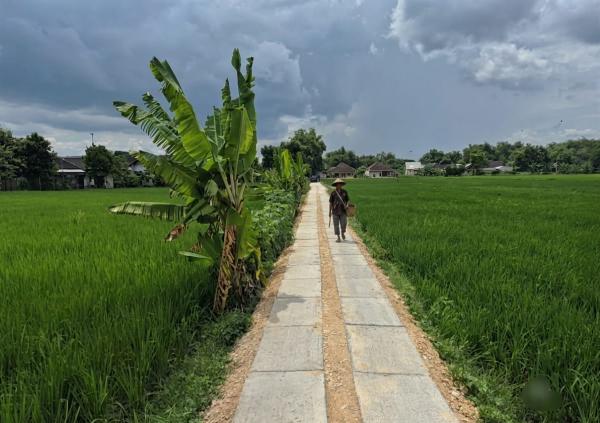 Tersebar di Ratusan Titik, DKPP Bojonegoro Bangun Jalan Usaha Tani Panjang Mencapai 27.500 Meter