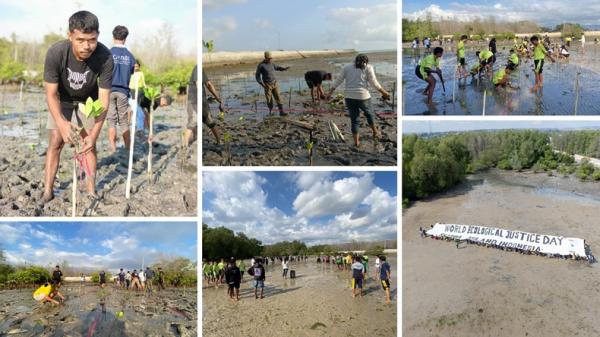 Hari Keadilan Ekologis Pertama di Waingapu: Mangrove, Bersih Pantai hingga Deklarasi