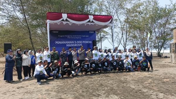 5.000 Mangrove Ditanam di Pantai Roro Inten, Jaga Pesisir dan Dukung Wisata Pagak