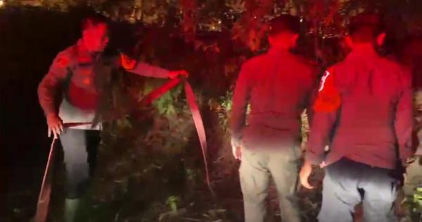 Hutan Bambu 300 Meter Persegi di Tenjo Bogor Terbakar, Polisi Selidiki Penyebabnya