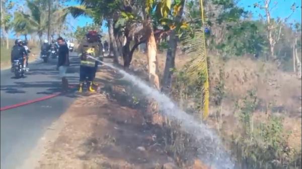 Kebakaran Hutan Jati di Selopamioro Bantul Meluas, Asap Ganggu Arus Lalu Lintas