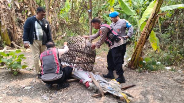 Polisi Gerebek Dua Lokasi Dugaan Judi Sabung Ayam di Sidoarjo