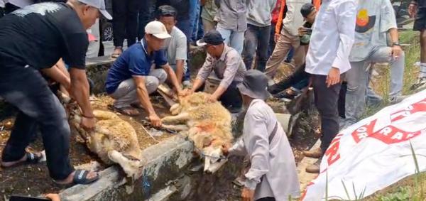 Sontang Coin Tersangka KPK di Kasus HGB Summarecon, Warga Bogor Gelar Selamatan