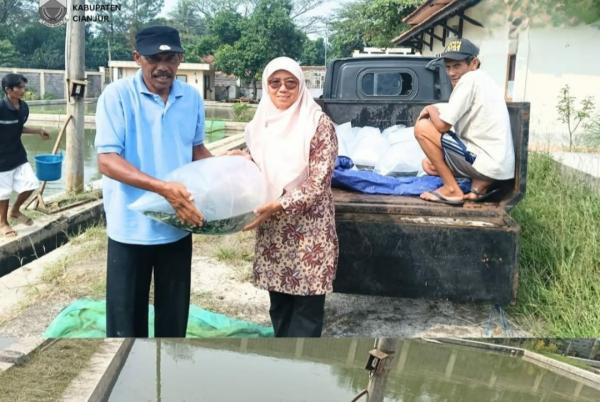 Pemkab Cianjur Salurkan 246.000 Bibit Ikan kepada 24 Kelompok Pembudidaya