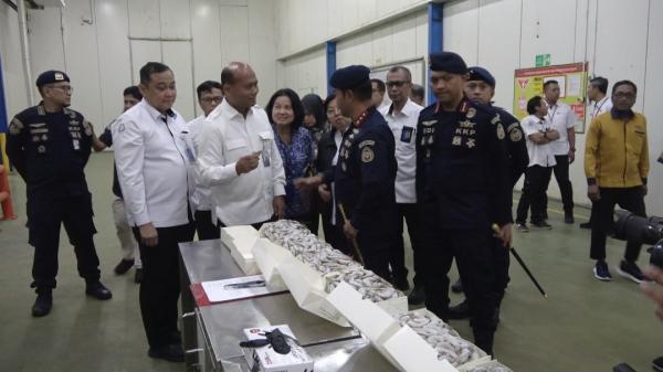 KKP Segel 144 Ton Udang Vannamei Impor di PT BMI Lamongan, Ini Alasannya