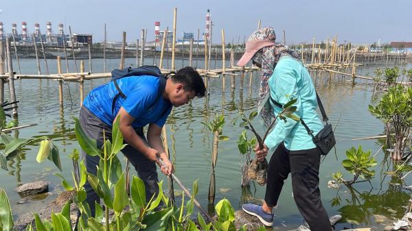 Dulu Dikejar Rob, Warga Tambak Lorok Kini Siapkan Mangrove sebagai Benteng Garda Kedua