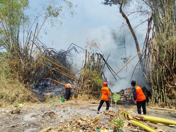 Kebakaran Lahan di Permukiman Padat Bojonegoro Kagetkan Warga, Gudang Mebel Ikut Dilalap Api