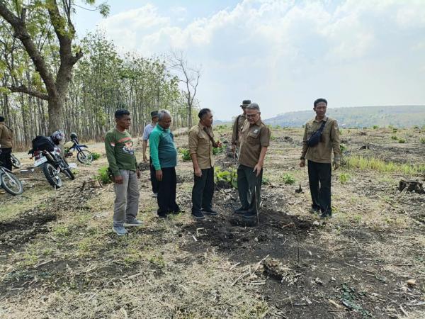 Perhutani Blora Siapkan 10,7 Hektare Lahan untuk Tanaman Jati 2026
