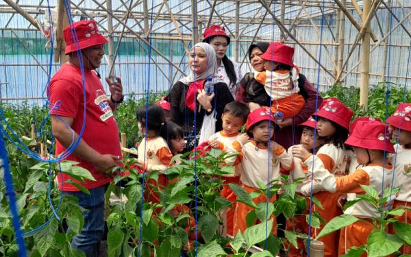 Serunya Belajar dari Kebun, Anak-anak Kenali Perjalanan Paprika hingga Buat Pizza