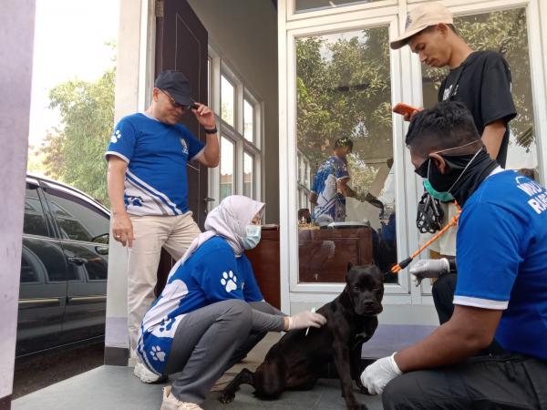 Target Nol Rabies, Disnakeswan Tulungagung Sasar Ratusan Hewan dengan Vaksin Gratis