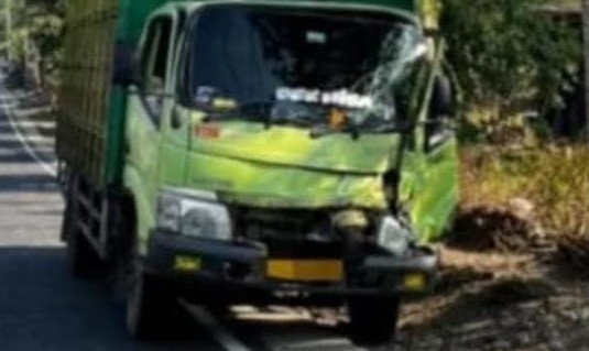 Truk Pengangkut Ayam Tabrak Pikap di Belik, 4 Orang Luka-Luka