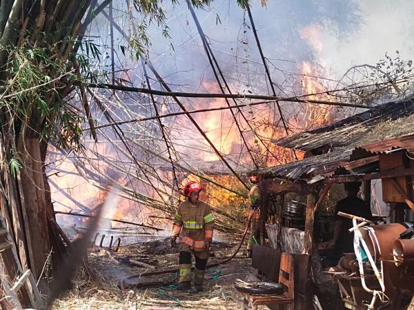 158 Kebakaran di Bojonegoro Dipicu Pembakaran Sampah, Warga Diminta Waspada