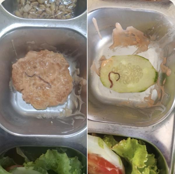 Diduga Ada Cacing di Menu MBG SMAN 1 Tapaktuan, Pihak Sekolah Kembalikan Makanan
