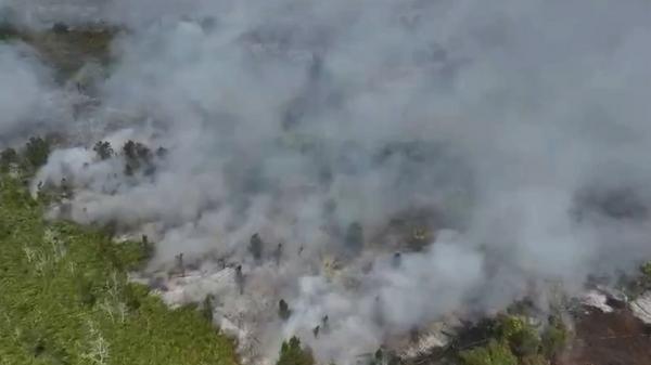 Cegah Karhutla, Pemerintah Masukkan Edukasi Kebakaran Hutan ke Kurikulum Mulok
