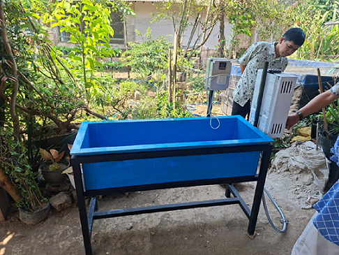 Teknologi Hot Water Treatment Mudahkan KWT Manggis 4 Tingkatkan Mutu Mangga