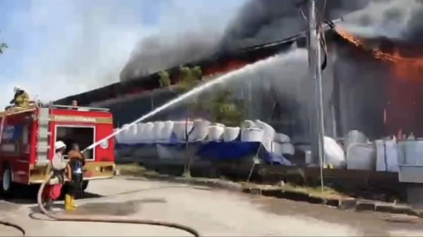 Kebakaran Pabrik Kayu di Pelang Lamongan, Gudang hingga Ruang Produksi Ludes Terbakar
