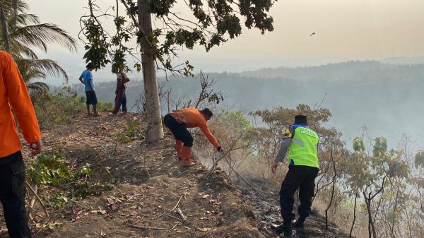 Lahan Perbukitan di Kebumen Terbakar, 1,5 Hektare dan Puluhan Pohon Jenitri Hangus