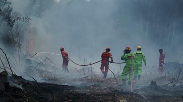 Konsistensi PT Berau Coal dalam Penanganan Karhutla Diapresiasi Pemkab Berau