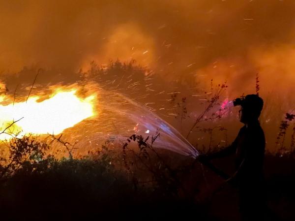 Bareskrim Polri Usut 98 Laporan Karhutla, 9 Perusahaan Sawit Jadi Tersangka
